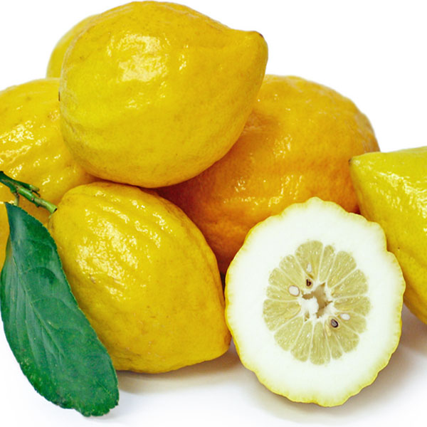 بالنگ میوه ویون
